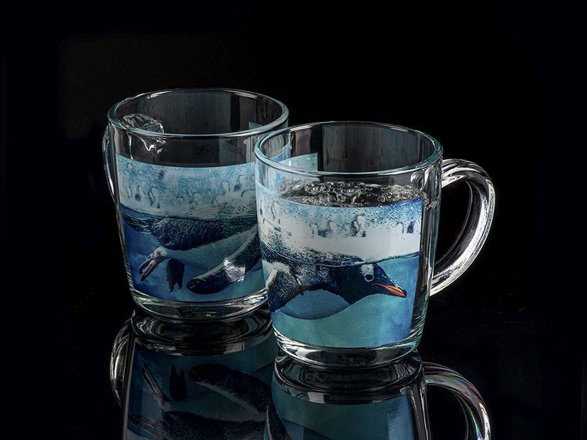 Zwei klare Glasbecher stehen auf einer glänzenden schwarzen Oberfläche. Beide Becher sind mit einer umlaufenden Illustration von Pinguinen unter und über der Wasseroberfläche bedruckt. Der linke Becher ist teilweise mit einer klaren Flüssigkeit gefüllt, während der rechte Becher leer zu sein scheint.